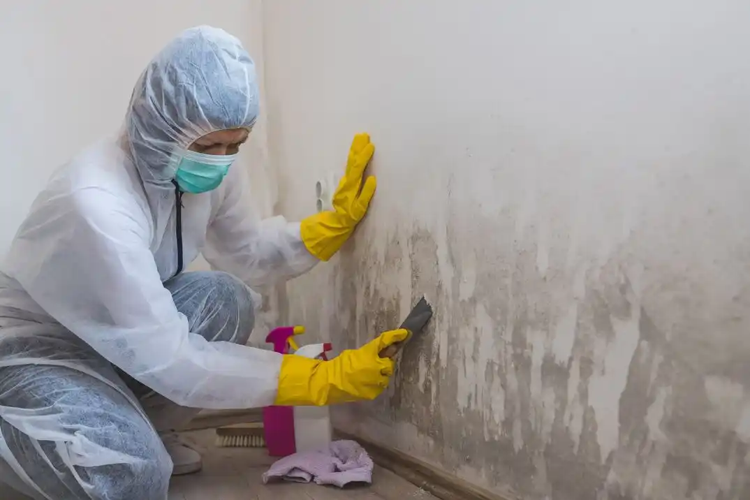 water damage restoration service Mineral Springs-Rumble Road